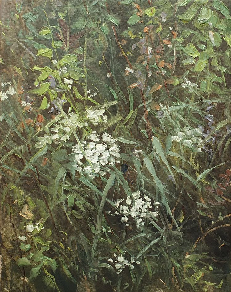 Wilde Möhre III