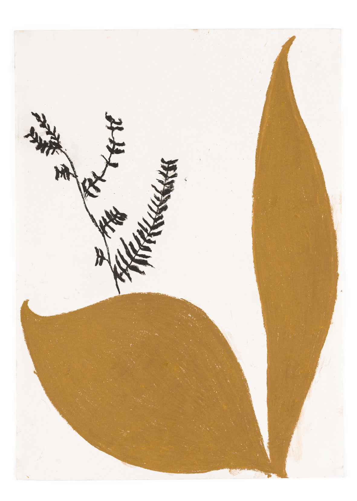 Pflanzenstudie nach einem Bestimmungsblatt aus dem Herbarium von Jean-Jacques Rousseau III